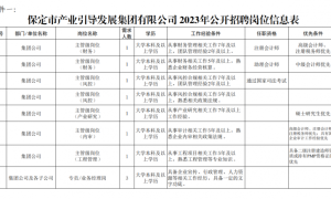 保定市产业引导发展集团有限公司2023年公开招聘